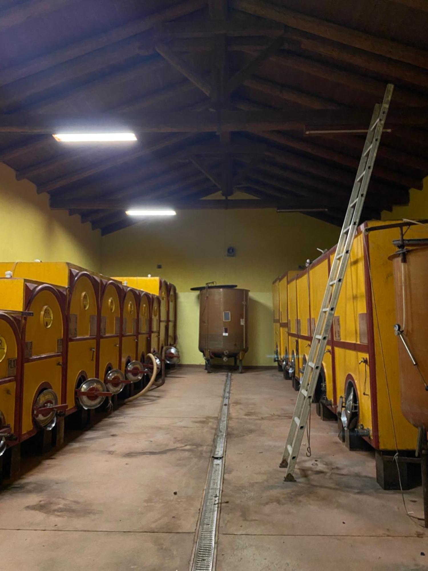 Tenuta Agricola La Cava- Cantina E Agriturismo San Damiano dʼAsti Extérieur photo