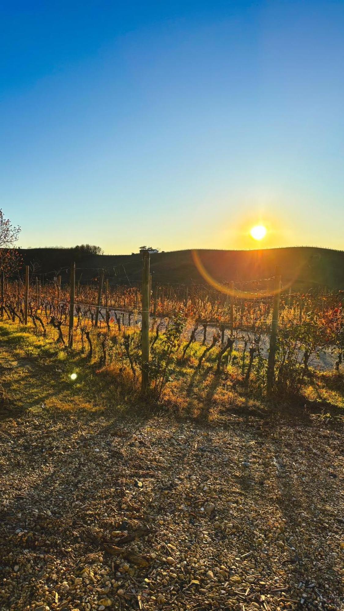 Tenuta Agricola La Cava- Cantina E Agriturismo San Damiano dʼAsti Extérieur photo