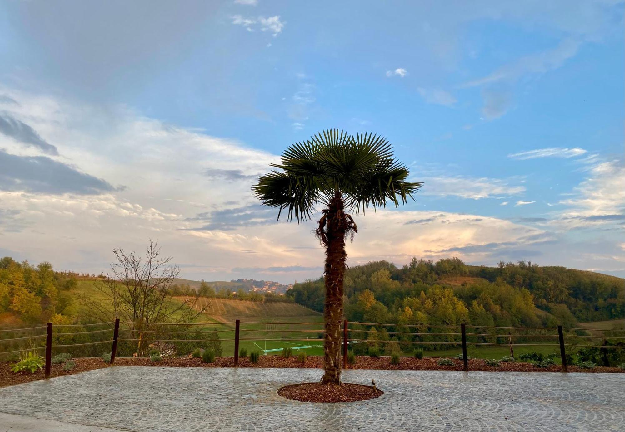 Tenuta Agricola La Cava- Cantina E Agriturismo San Damiano dʼAsti Extérieur photo